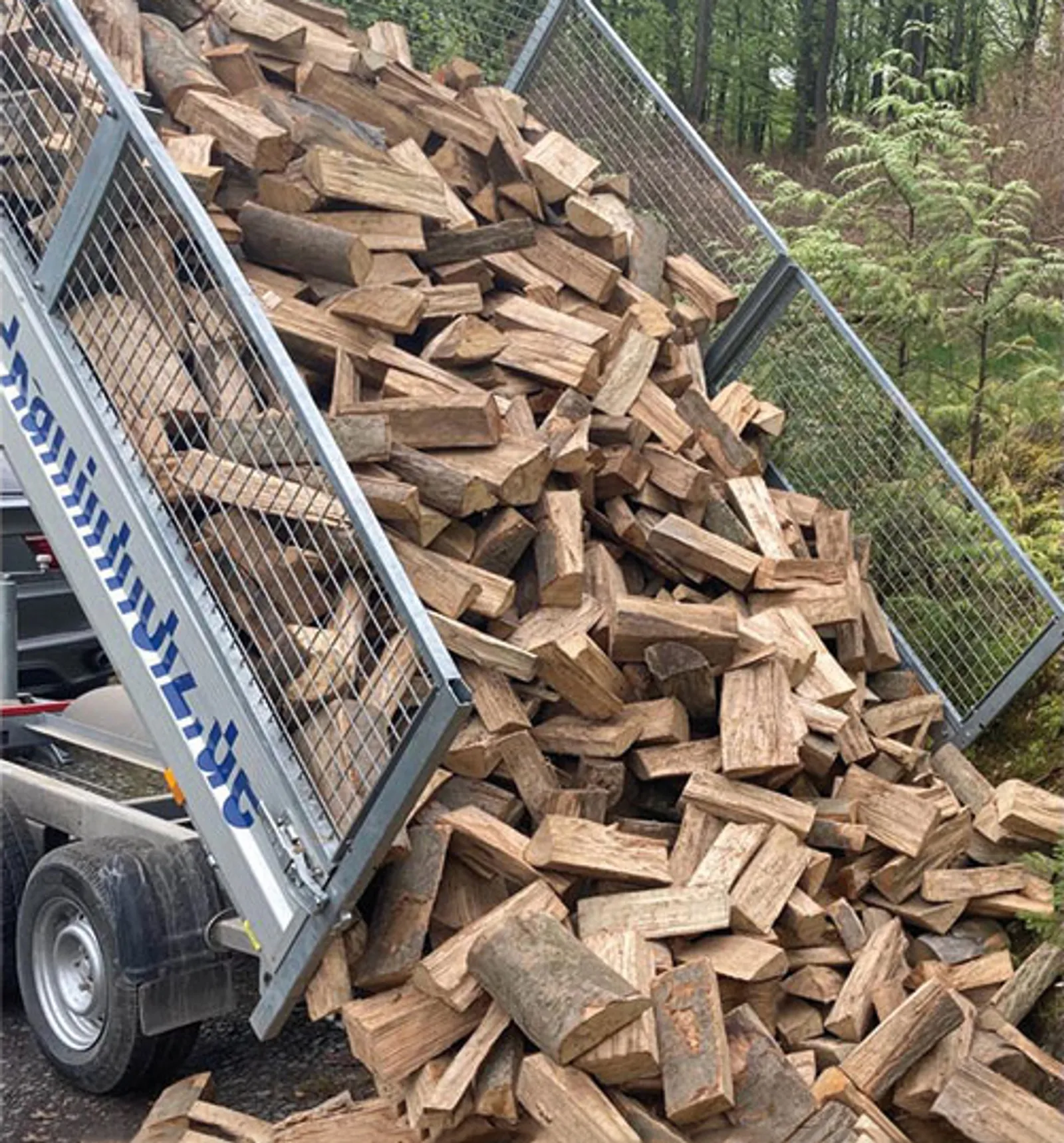 Brennholz Buche 25cm 1 RM Lose geschüttet