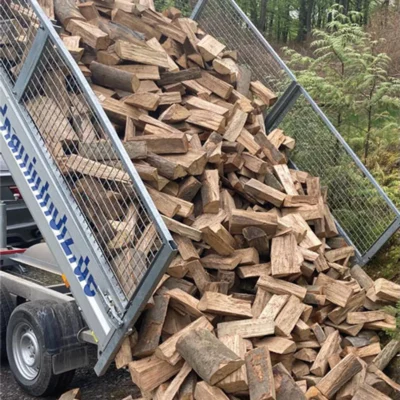 Brennholz Buche 28-33cm Lose geschüttet 1 SRM